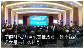 寧德時代/力神成首批成員！電動航空標委會成立帶來什么信號？