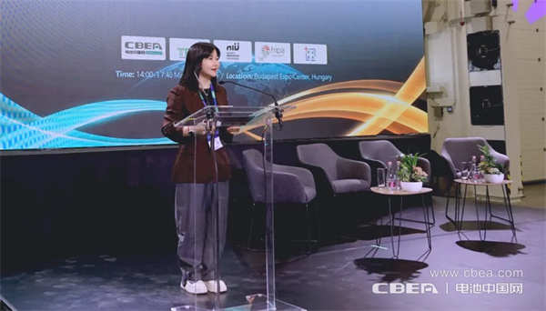 動力分會張雨：CBIS海外論壇搭建中歐合作新橋梁